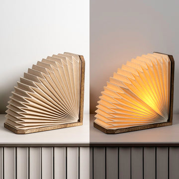 Darla Modern Art Deco Paper Half Pleated Fan LED Table Lamp